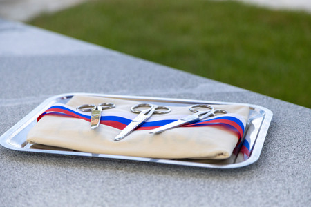 Otvoritev pokopalisˇcˇa-10